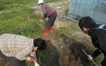 사랑의 텃밭 가꾸기 씨앗 파종 이미지